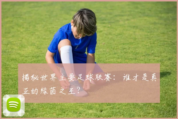 揭秘世界主要足球联赛：谁才是真正的绿茵之王？